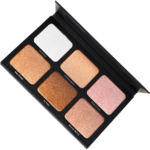 Danessa Myricks - Light Work Palette